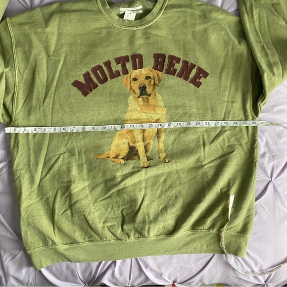 By Anthropologie Maeve Dog Graphic Sweatshirt Labrador Retriever Green Large NWT - Picture 6 of 10